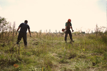 Augusto and Icutting more grass to widen the area of cut vegitation