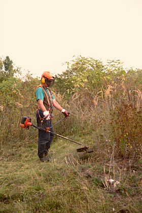 I using the grass trimmer