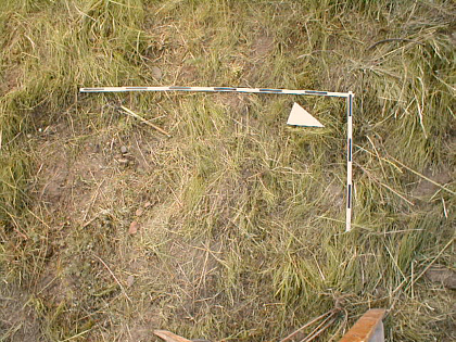 the first picture of an overgrown small ramp