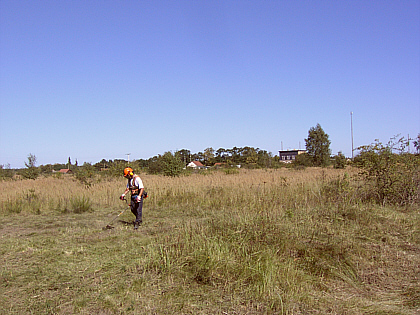 I, cutting more grass with the trimmer