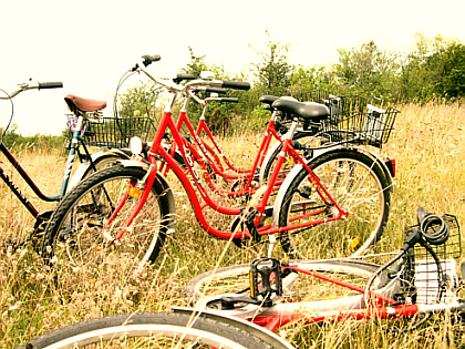 picture of our red bicycles